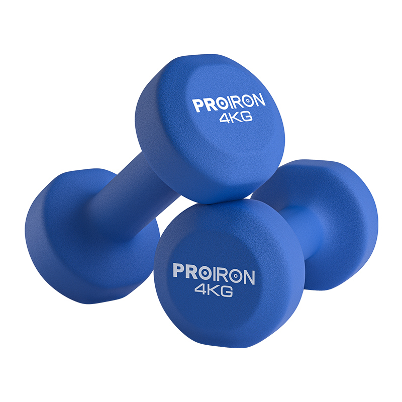 S3010  Cast Iron Dumbbells Fitness Equipment for Men and Women