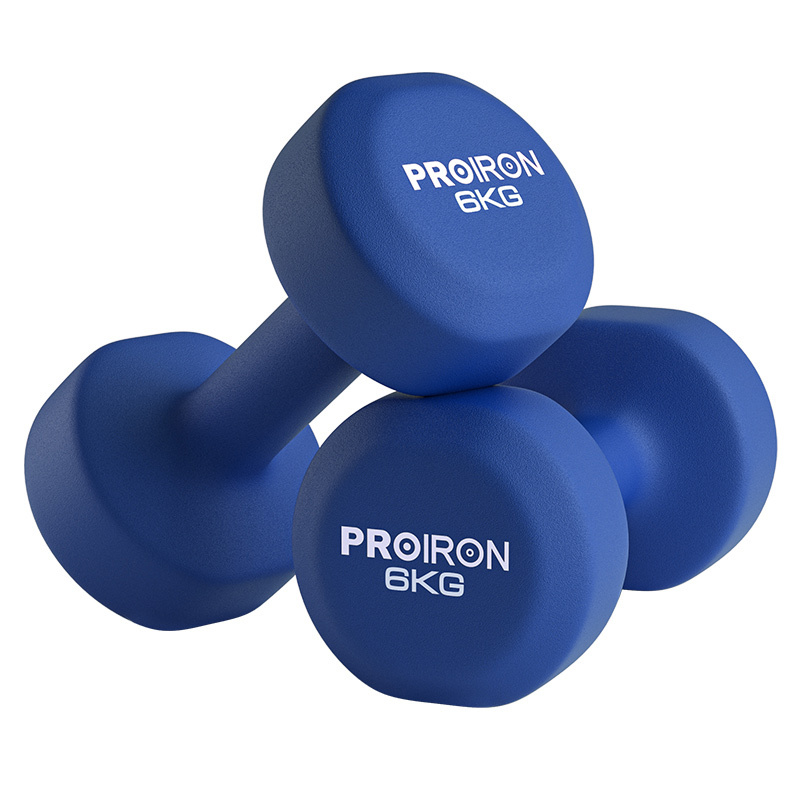 S3010  Cast Iron Dumbbells Fitness Equipment for Men and Women