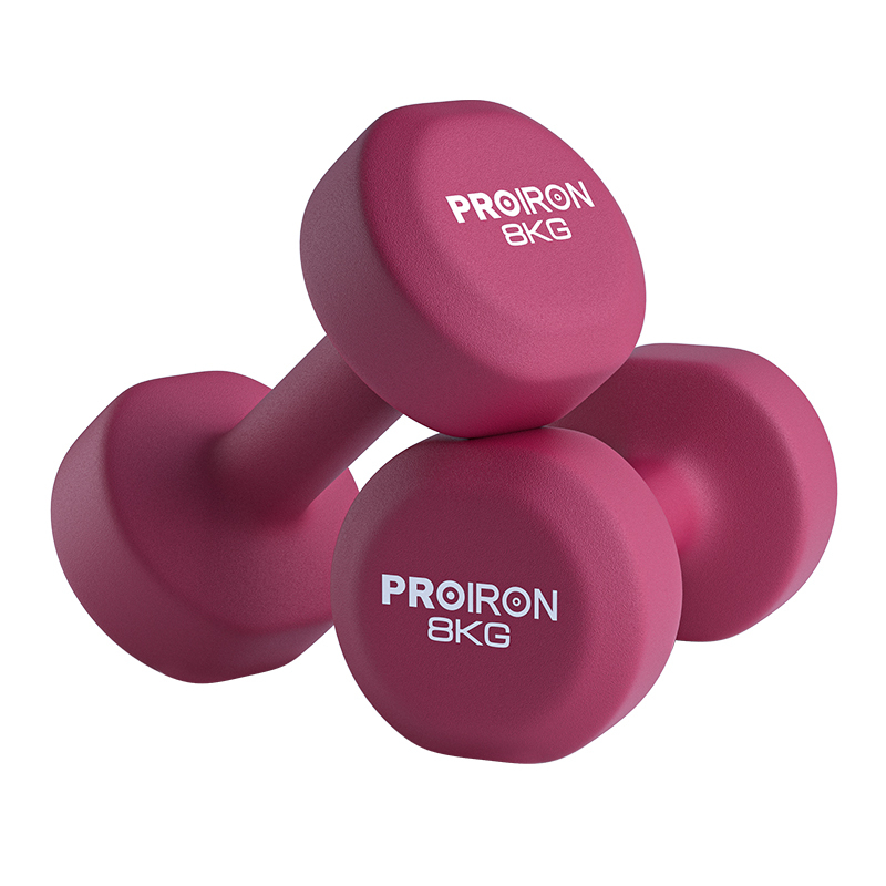 S3010  Cast Iron Dumbbells Fitness Equipment for Men and Women