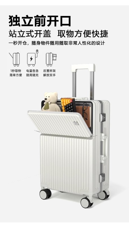 L0013 Paul Frank Suitcase