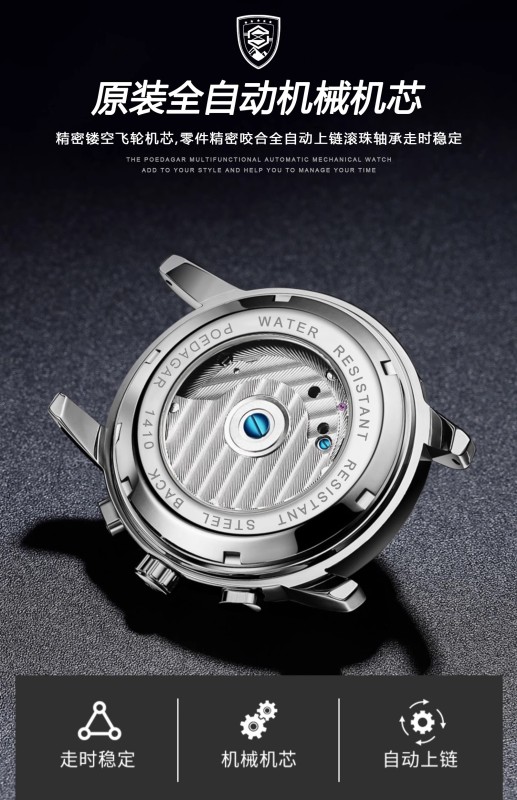 E9065 Men's Waterproof Fully Automatic Mechanical Watch