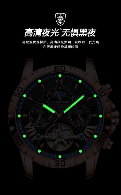 E9065 Men's Waterproof Fully Automatic Mechanical Watch