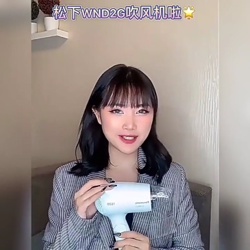 H0019 Panasonic Hair Dryer EH-WIND2G