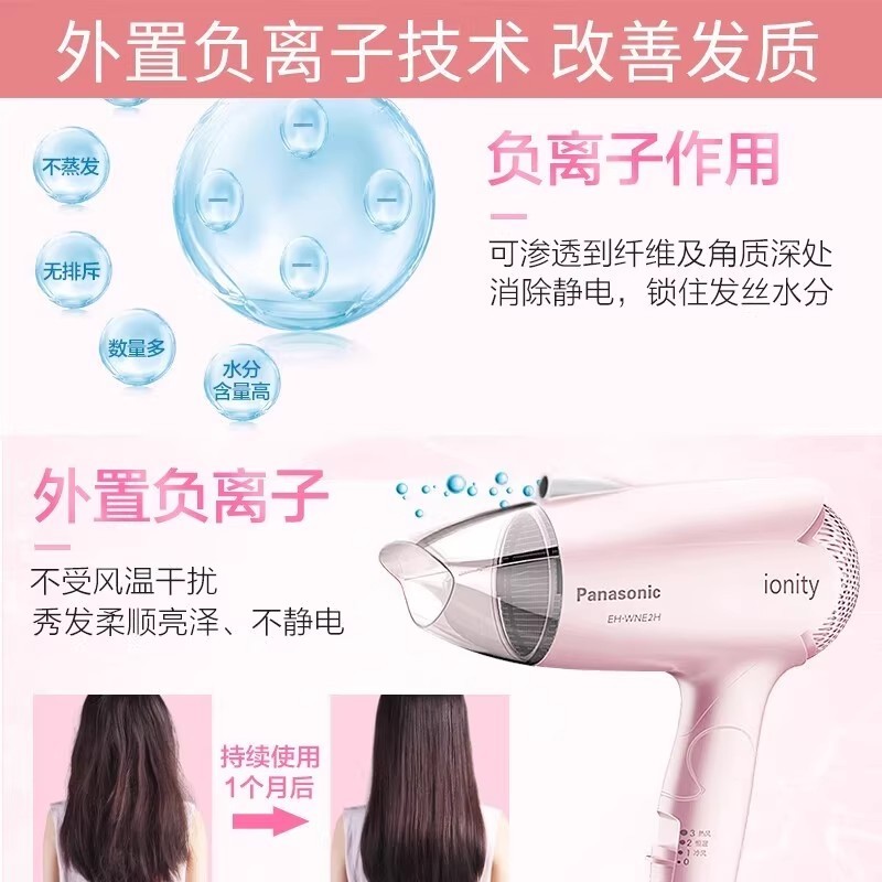 H0019 Panasonic Hair Dryer EH-WIND2G