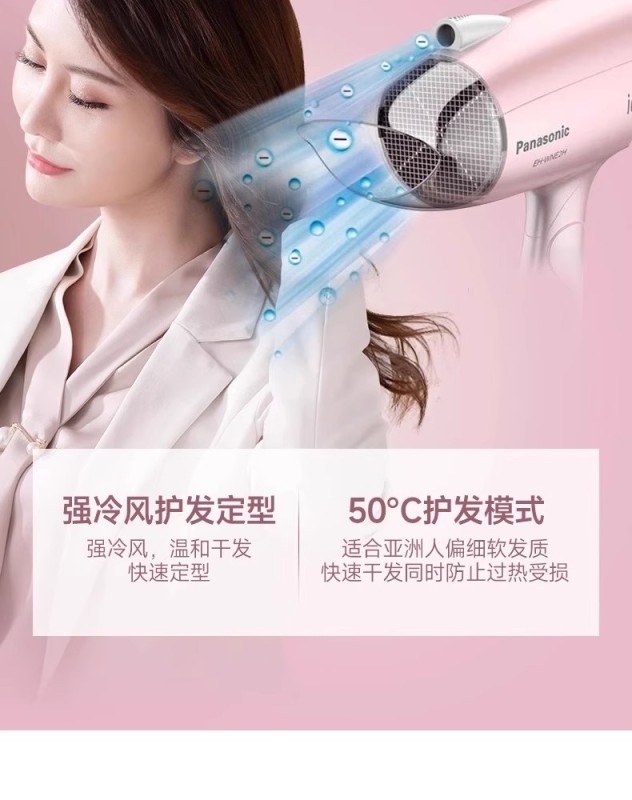 H0019 Panasonic Hair Dryer EH-WIND2G