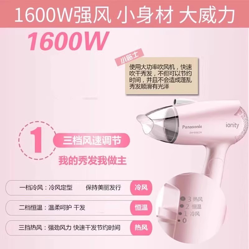 H0019 Panasonic Hair Dryer EH-WIND2G