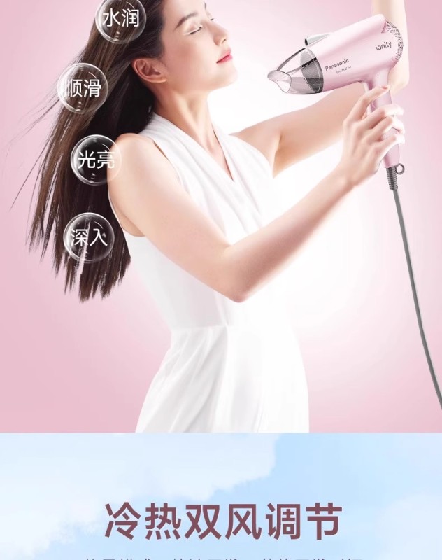 H0019 Panasonic Hair Dryer EH-WIND2G