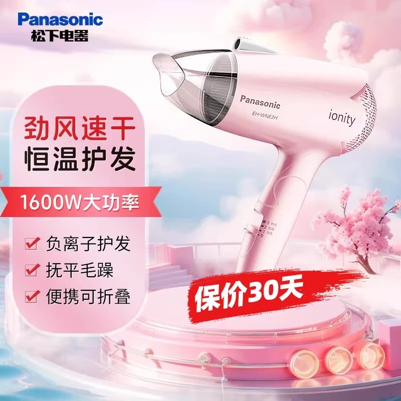 H0019 Panasonic Hair Dryer EH-WIND2G