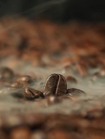 G0039 Yunnan Small-Bean Arabica Coffee Beans 500g - Yunnan
