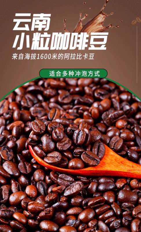 G0039 Yunnan Small-Bean Arabica Coffee Beans 500g - Yunnan