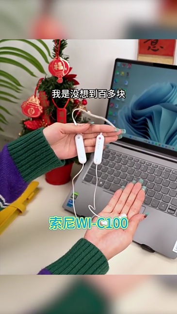 E9078 Sony WI-C100 Neckband Wireless Bluetooth Sports Earphones