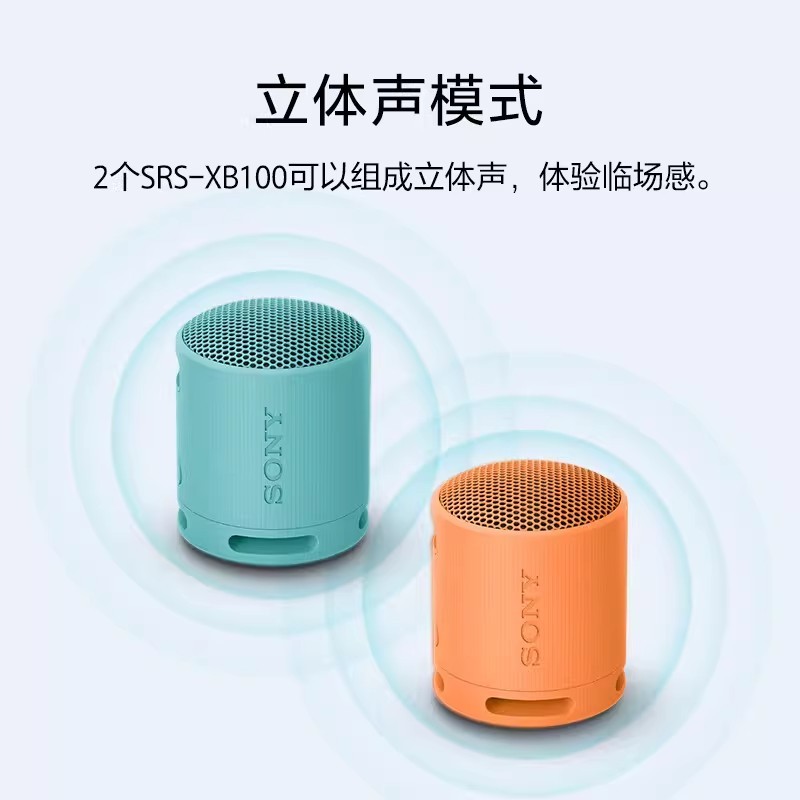 E9077  Sony SRS-XB100 Portable Outdoor Wireless Bluetooth Speaker