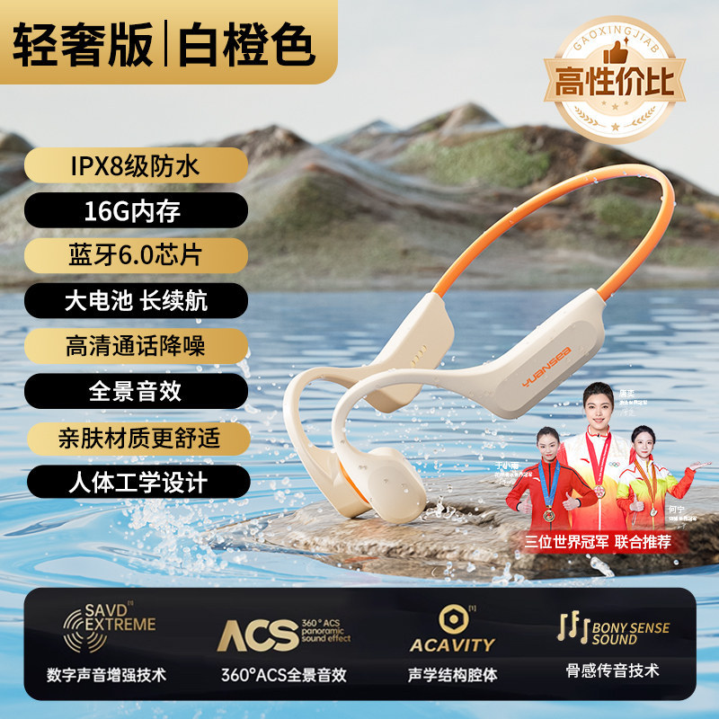 E9011 Yuanshi X24 Mariner Professional Waterproof Swimming Sports Earphones