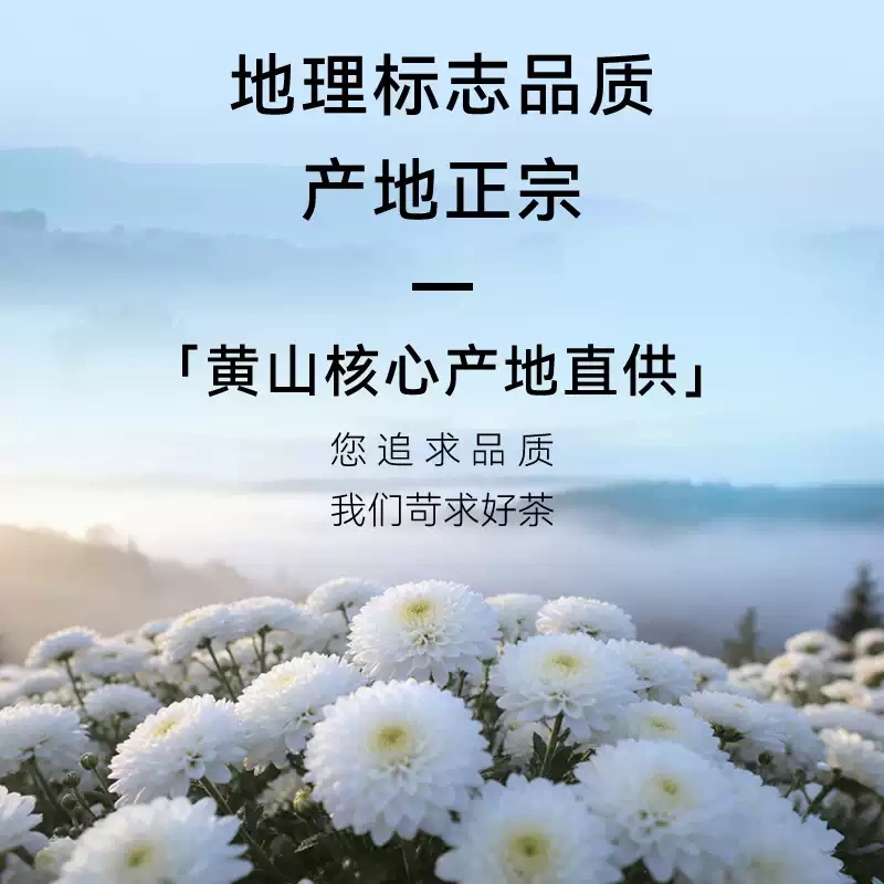 G0056 Huangshan Chrysanthemum Tea 50g