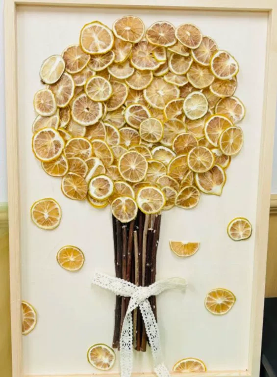 G0046 Freeze-dried lemon slices