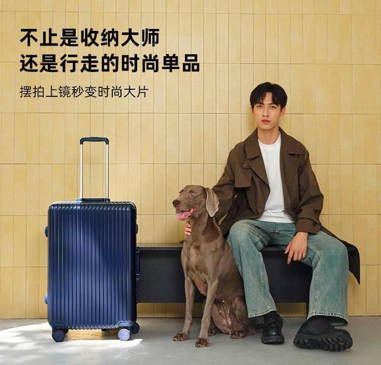 L0022 Diplomat trolley luggage /rolling suitcase