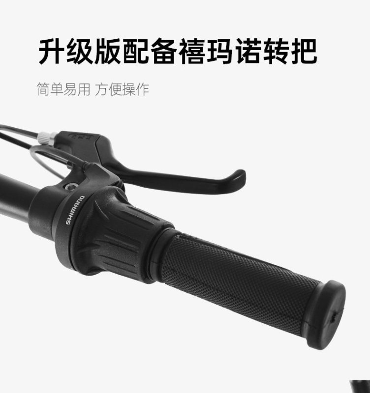 S3028  Forever Portable Foldable Multi-Speed Bicycle
