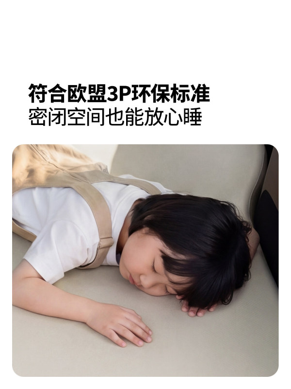 L0028  Mobi Garden Car Inflatable Bed with Brushed Finish, 10cm Thickness, Double Size