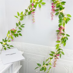 Wisteria flowers pink