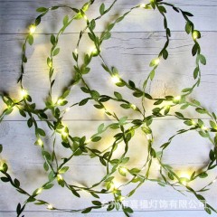 Little Green Leaf