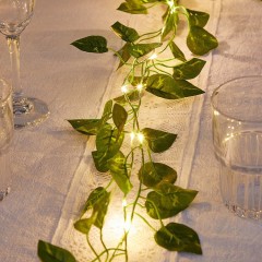Green Leaf Vine