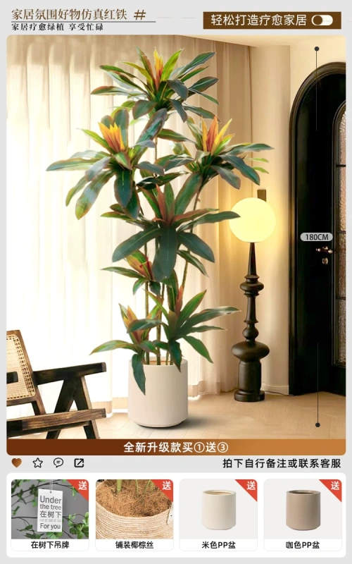 H0053 Artificial Red Edge Dracaena Indoor Potted Plant 1.8m