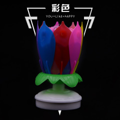 6*11 Colored Rotating Flat-bottomed Musical Wax