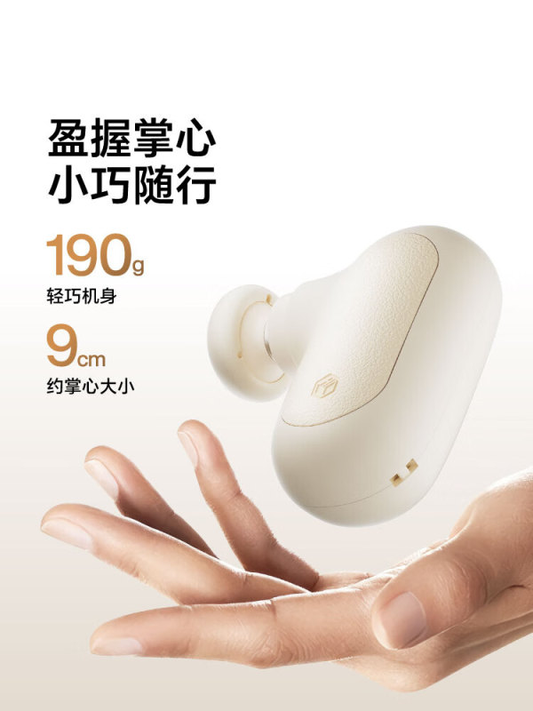 S3037 Pocket Massage Gun