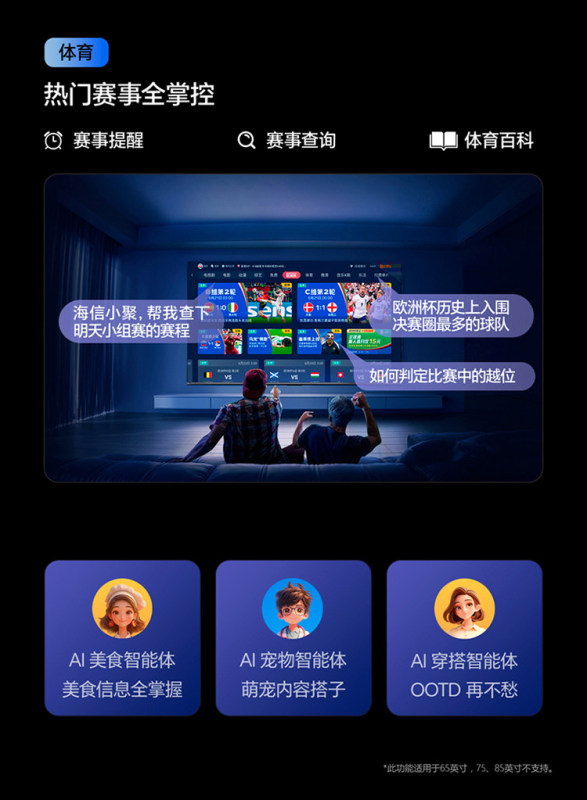 E9133 Hisense 75XP3CE 75-Inch 4K Ultra HD Conference TV (China Version)