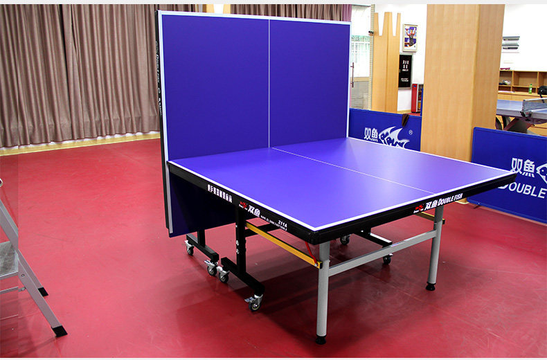 S3040 DOUBLE FISH Foldable Table Tennis Table Set