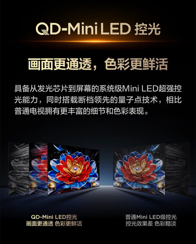 E9142 TCL 55T5M Plus 55-Inch 4K QD-Mini LED TV