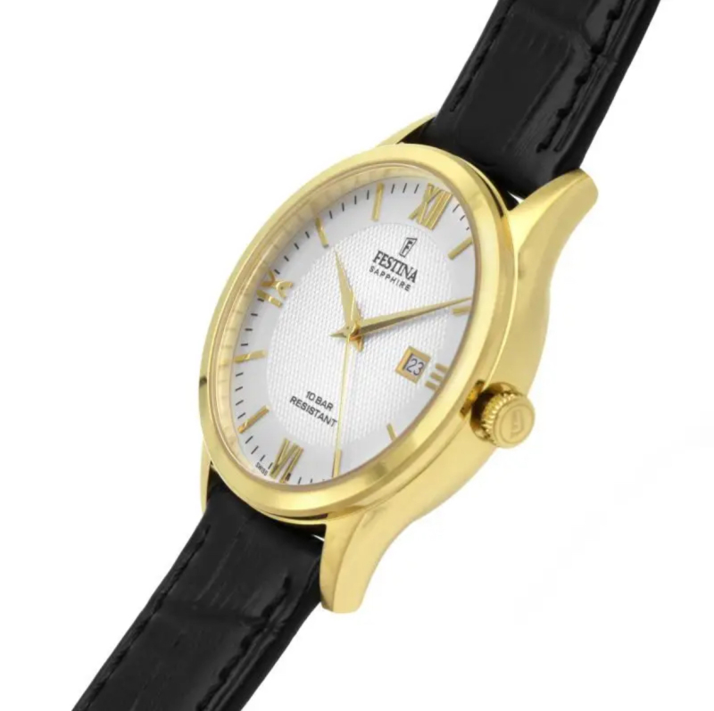 E9163 Festina Men's Quartz Watch F20010