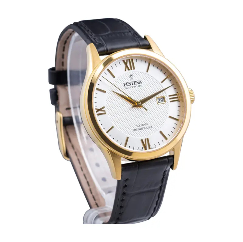 E9163 Festina Men's Quartz Watch F20010