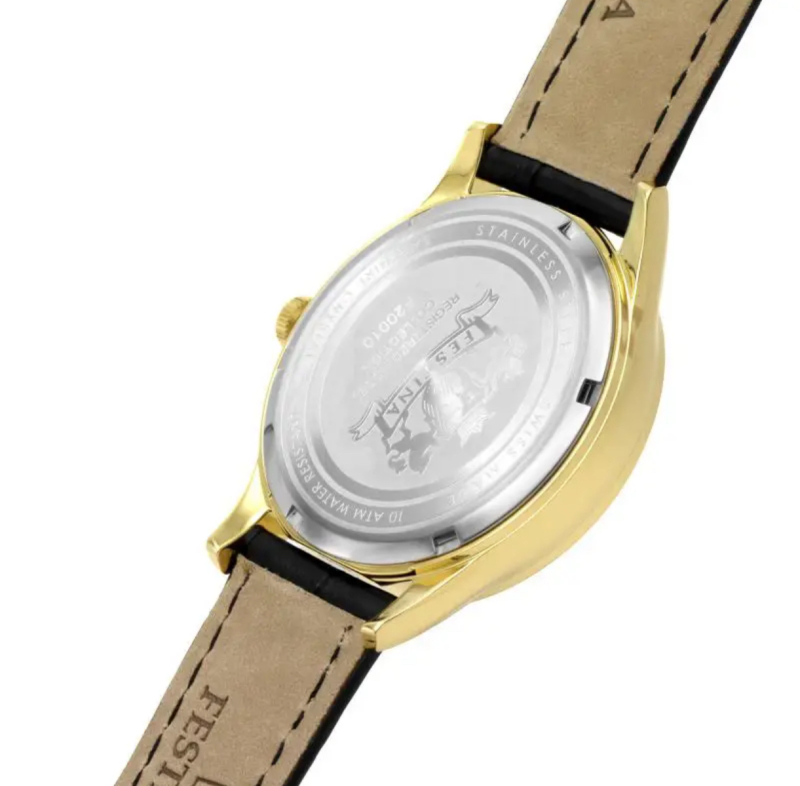 E9163 Festina Men's Quartz Watch F20010