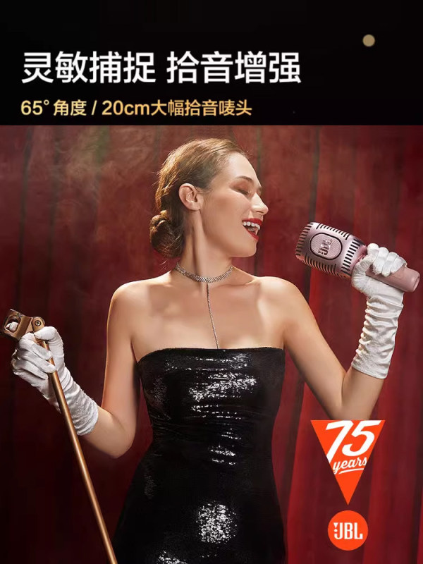 E9176 JBL KMC650 All-in-One Microphone Speaker Bluetooth Wireless Rechargeable Karaoke Microphone