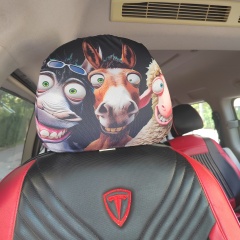 Elastic Car Headrest Cover