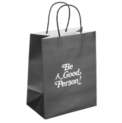 recyclable paper bag Eco friendly with twisted handle for packaging , shopping FSC paper