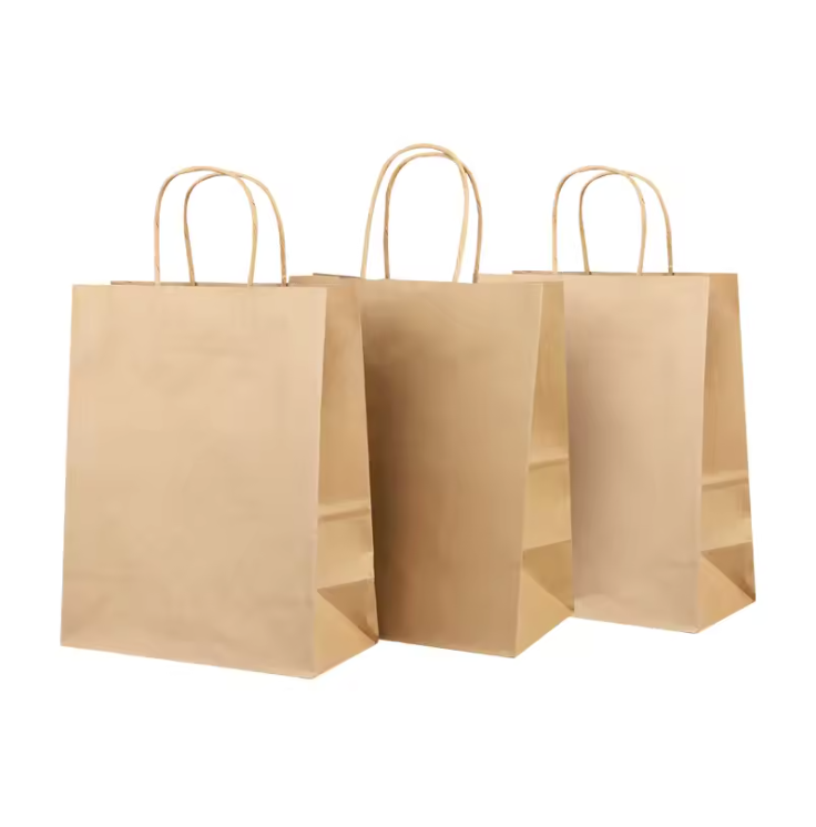 recyclable paper bag Eco friendly with twisted handle for packaging , shopping FSC paper