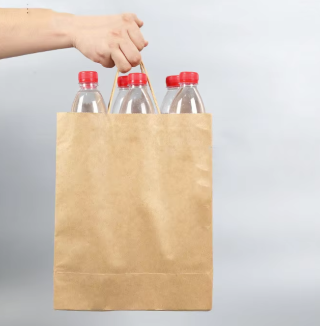 recyclable paper bag Eco friendly with twisted handle for packaging , shopping FSC paper