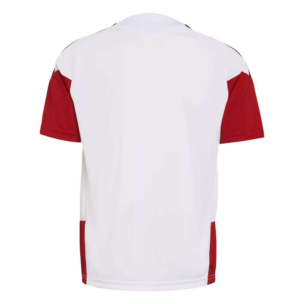 Deutschland Training Jersey für