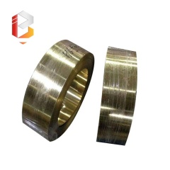Tin Bronze Strip