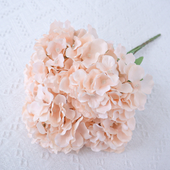blush pink