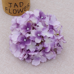 dream purple