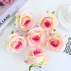 champagne pink