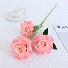 champagne pink