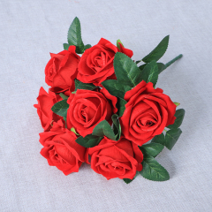 bight red