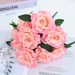 champagne pink
