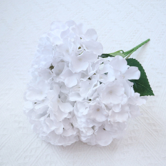 pure white