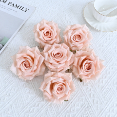 blush pink