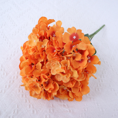 autumn orange